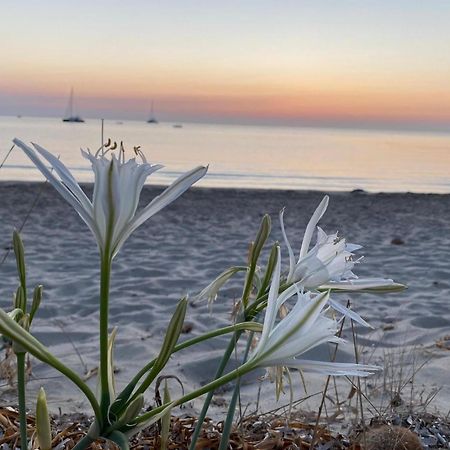 Residence Abba Urci Tertenìa Esterno foto